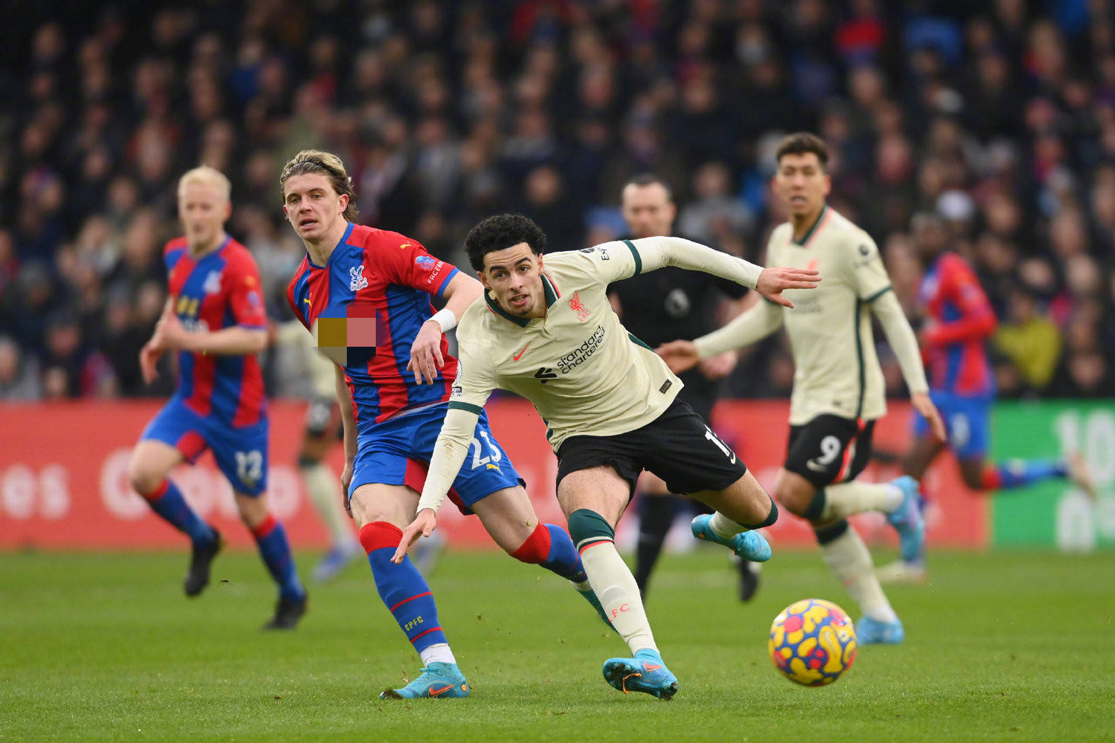 终于迎来了 终于迎来了